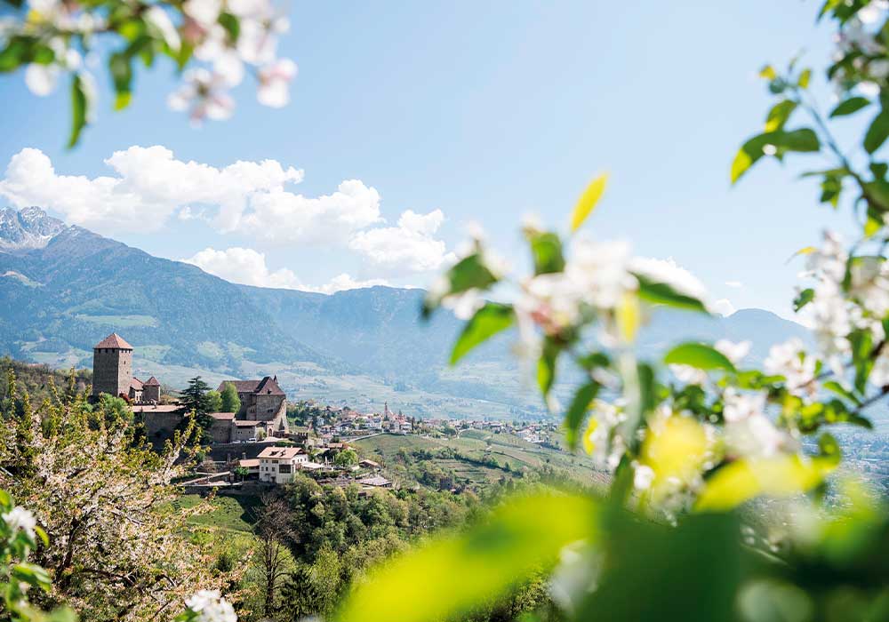 Dorf Tirol und Umgebung